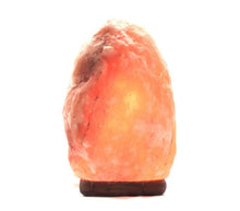 Indlæs billede til gallerivisning Himalaya Saltlampe med ledning og pære - 20 cm gauasha.com